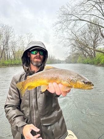 Images Holston River Fishing Guides