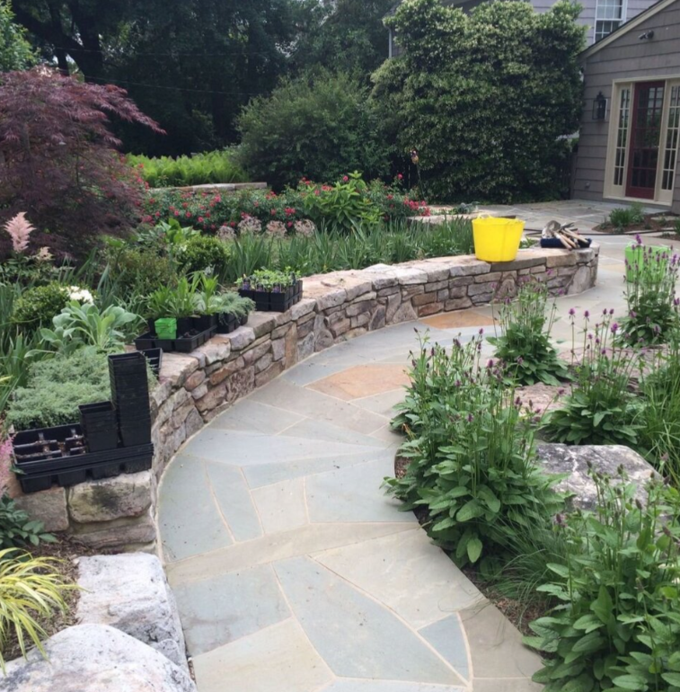 Wildscape Designs Logo