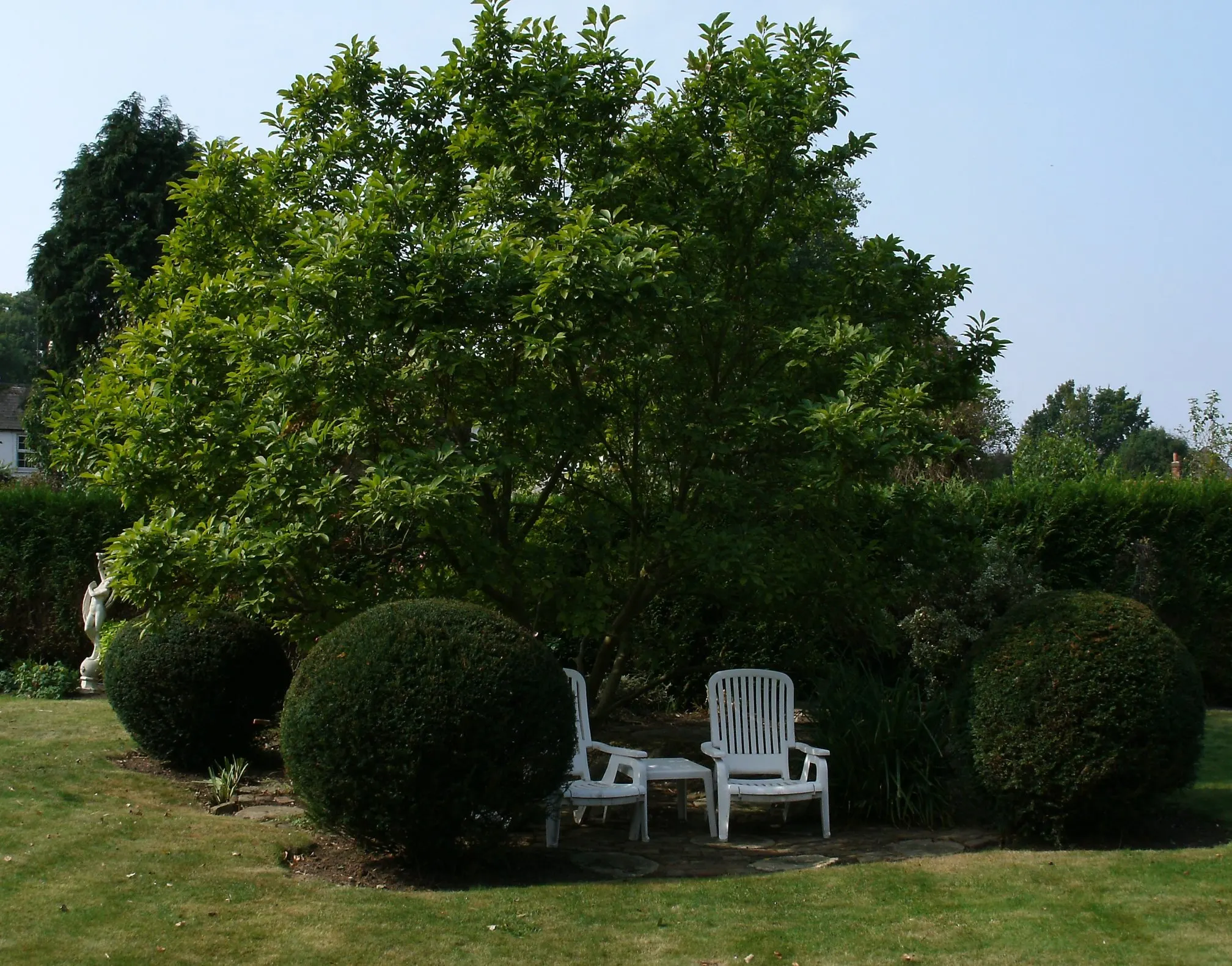 Images SN Landscaping Ltd