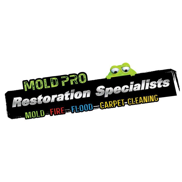 Mold Pro Water Removal Garden City
