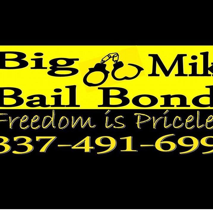 Big Mike Bail Bonds Logo