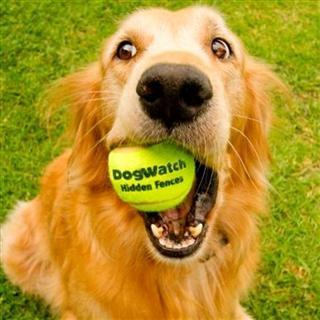 DogWatch® Hidden Fence of the Triad Logo