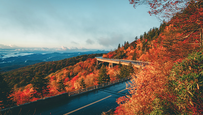 Curved mountainside highway surrounded by the colourful leaves of autumn trees.