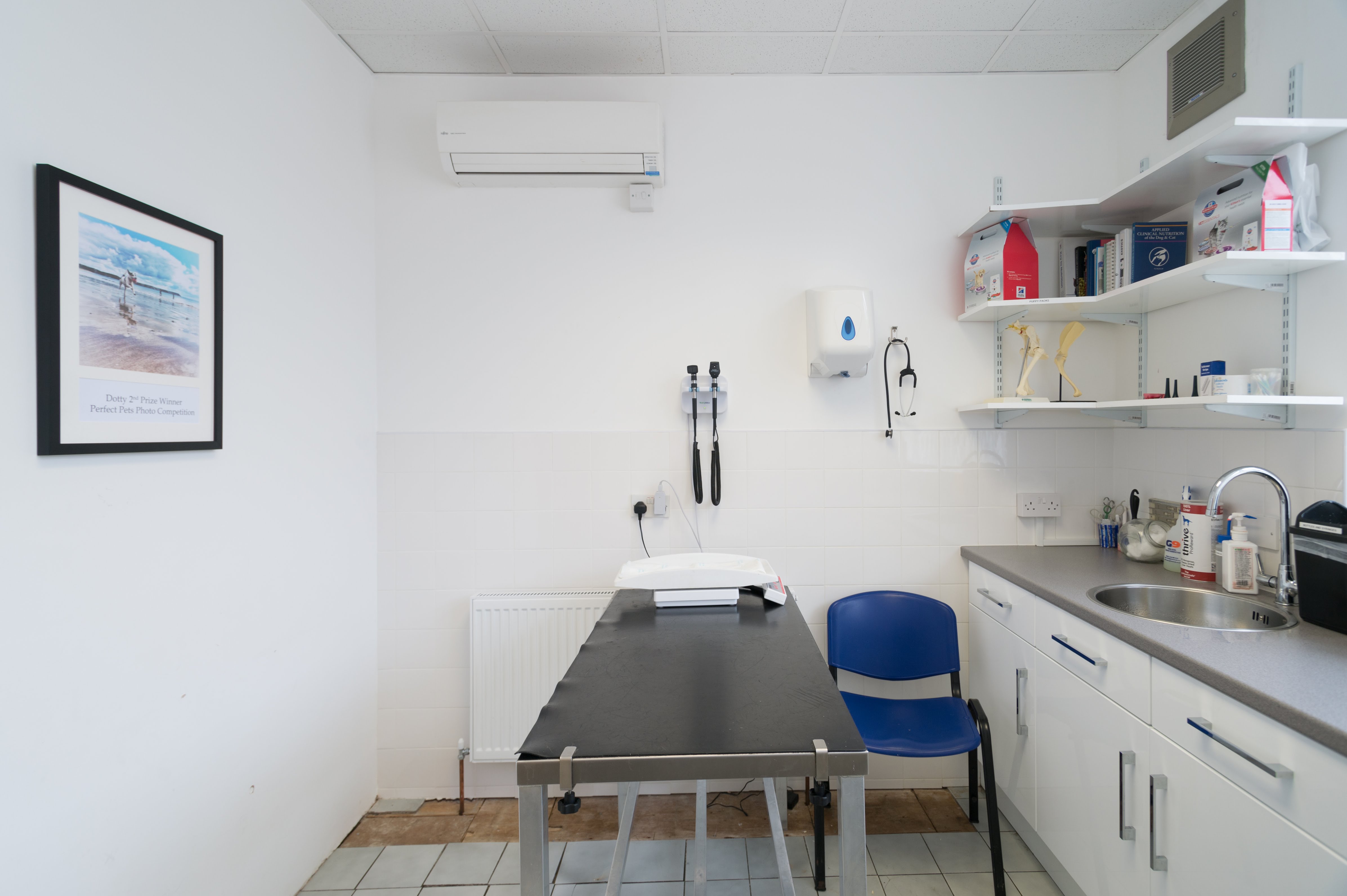 Images Streatham Hill Veterinary Surgery