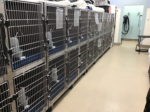 Images Petco