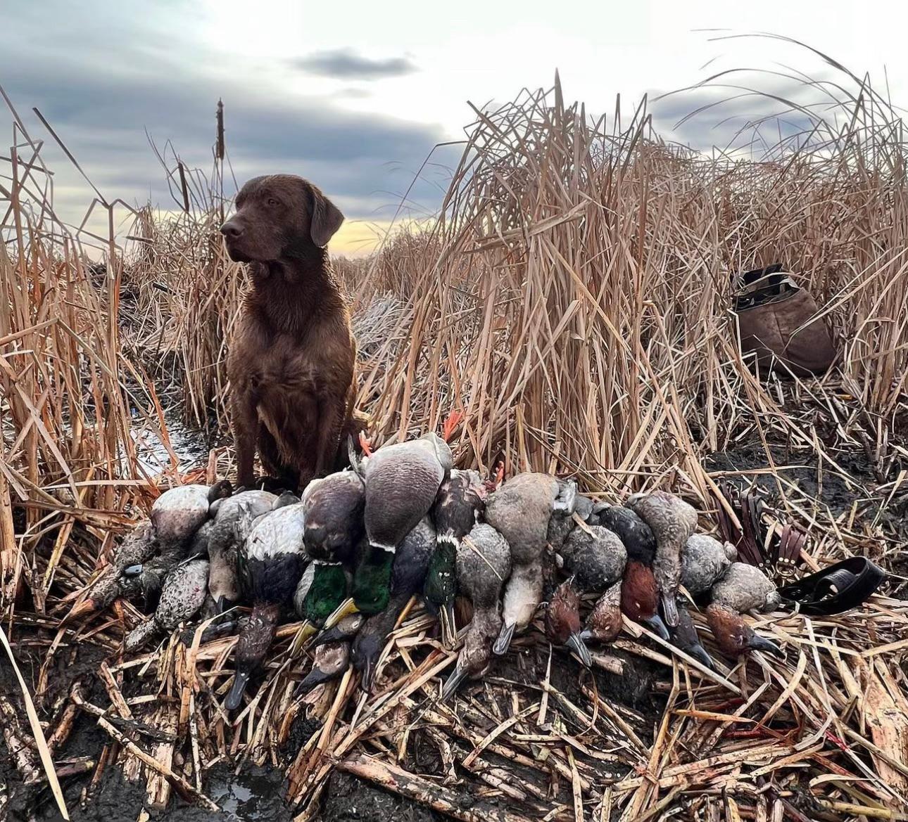 Mossy Pond Lodge Image