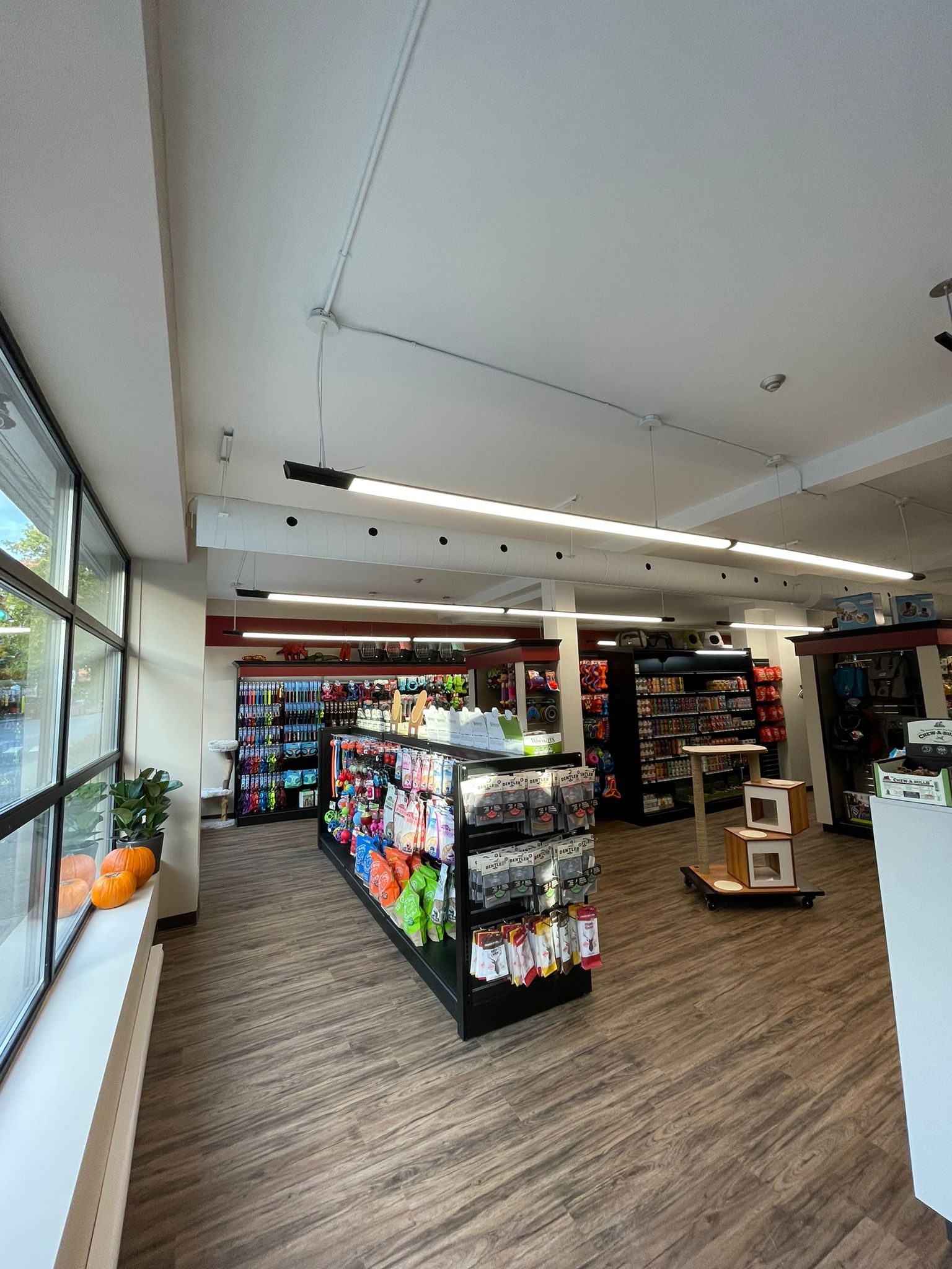 Images Pitou Minou & Compagnons Westmount