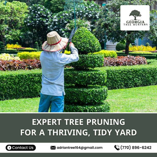 Images Georgia Tree Hunters