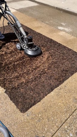 Images Lasting Image Maintenance Service