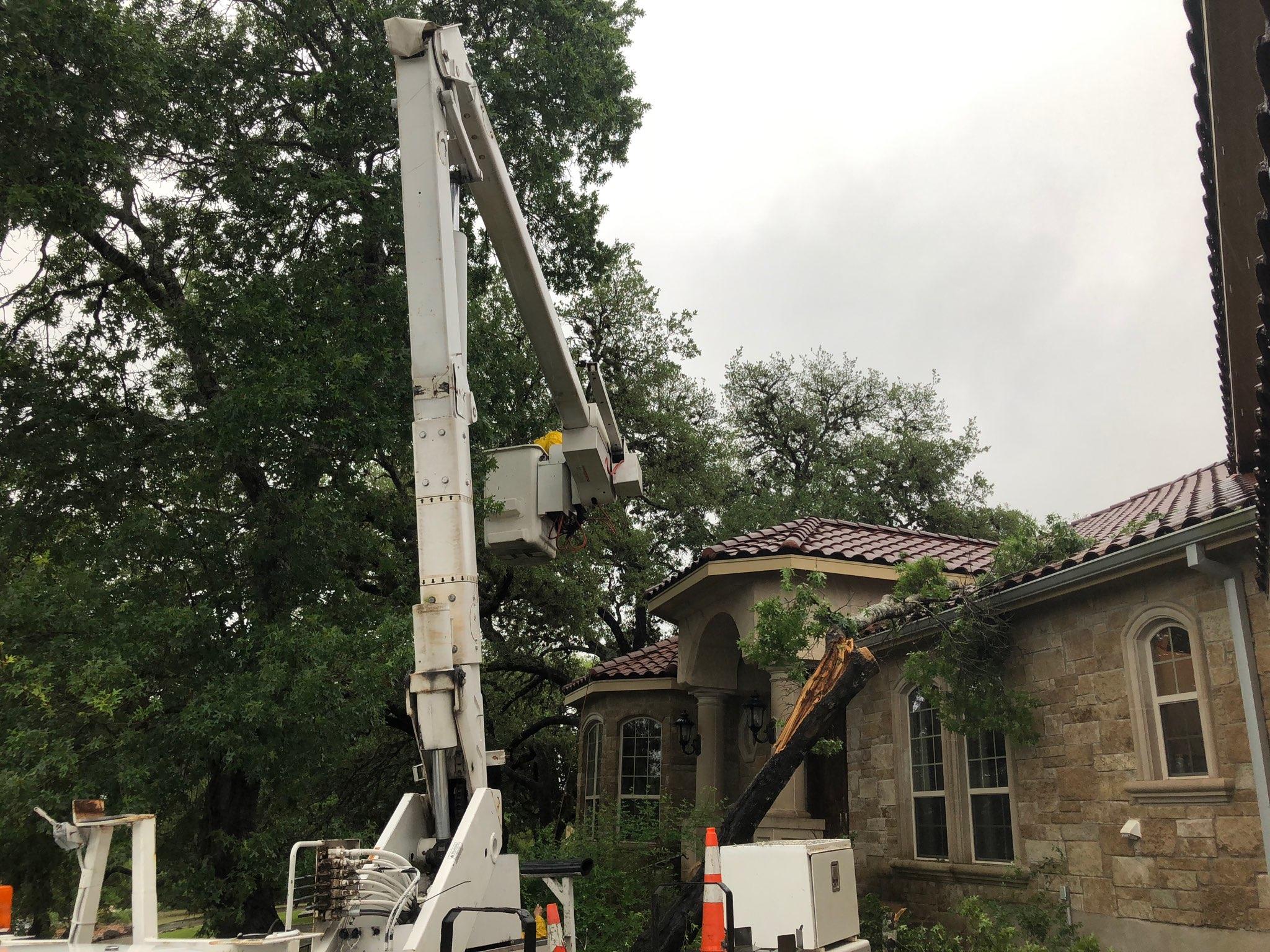 SA Total Tree Service Photo