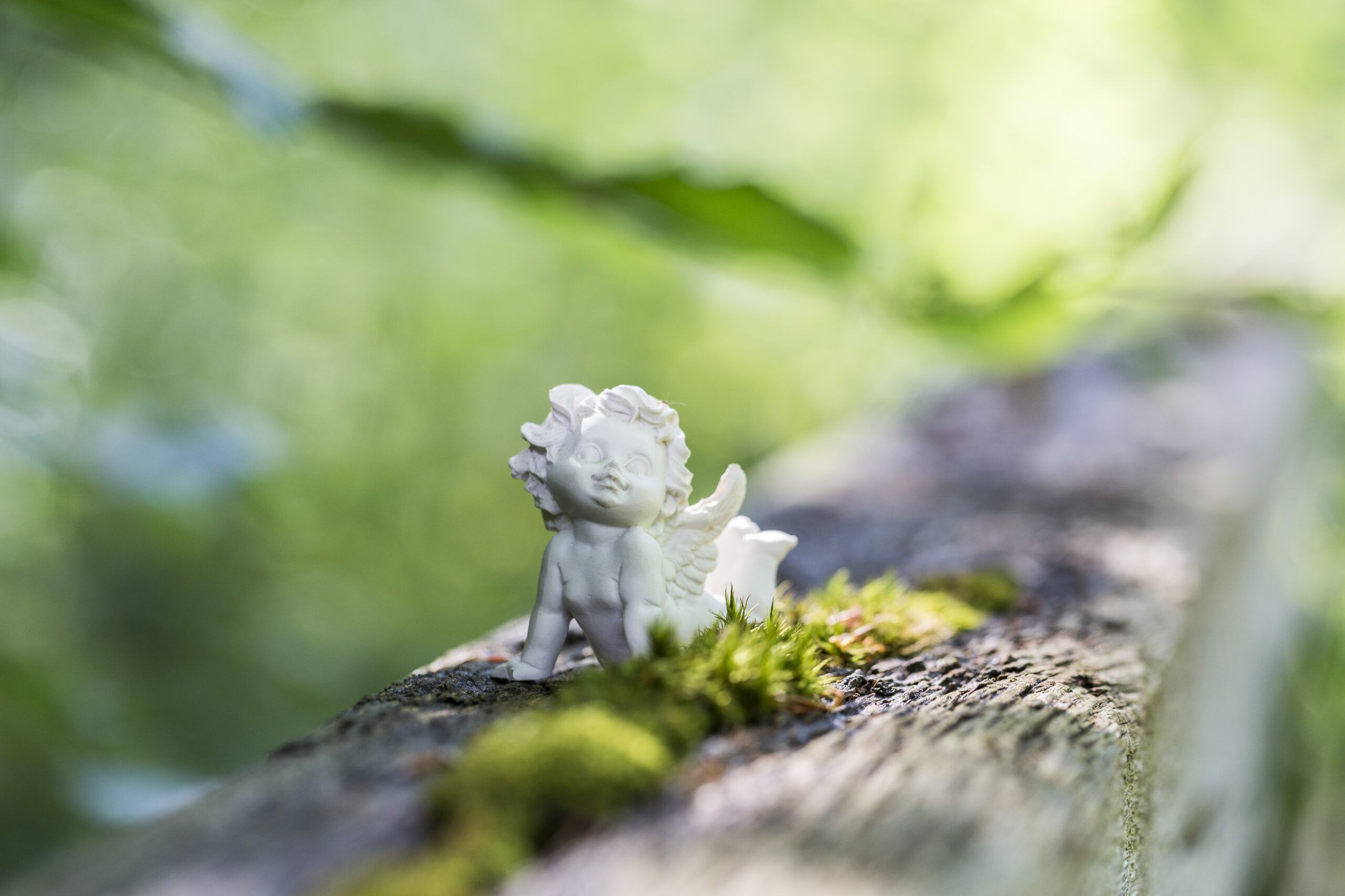 Bestattungen Stratmann GmbH & Co. KG, Hackfurthstraße 5 in Bottrop