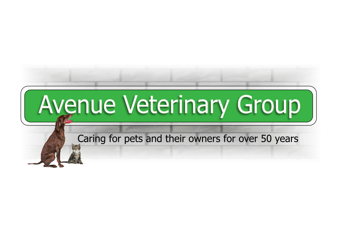 Images Avenue Veterinary Group - Shipley