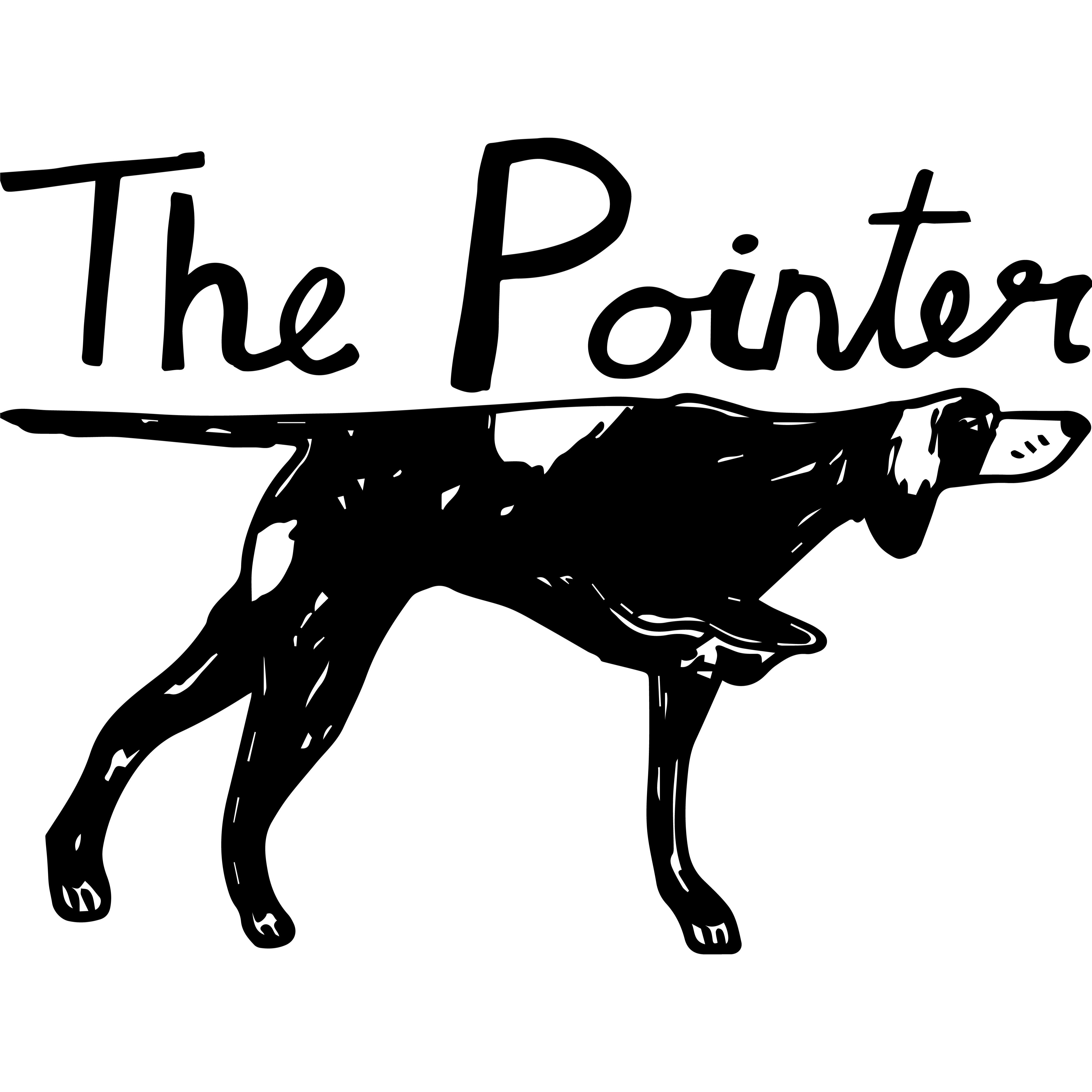 The Pointer Logo