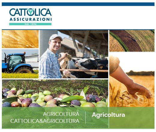 Images Cattolica Assicurazioni Consulenza Assicurativa di Bertoni Dott. Andrea e C.