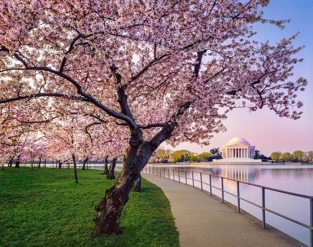 Images Kimpton Hotel Monaco Washington DC by IHG