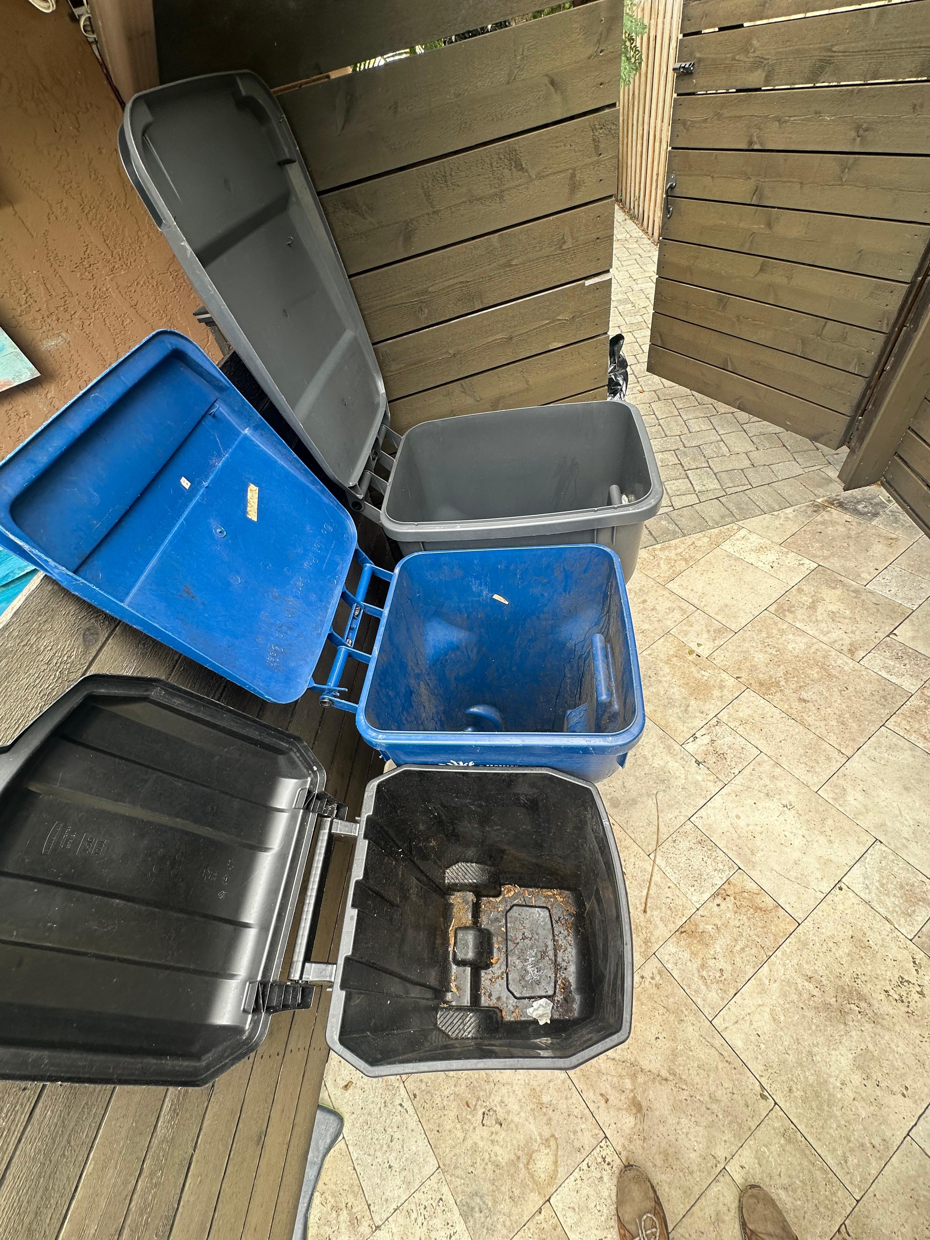 Trash Removal