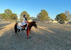 Images Star Ridge Stables