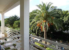 Images Hotel Conchiglia D'Oro