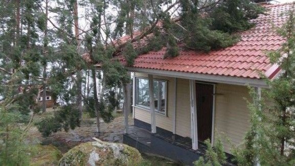 Images Puu- ja metsäpalvelu Zeh