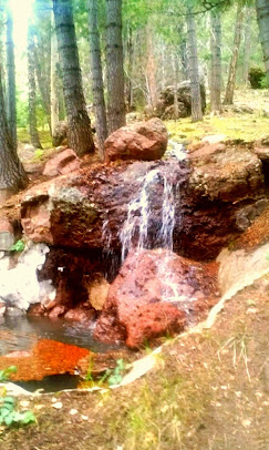 Mogote Meadow Cabins & RV Park Image