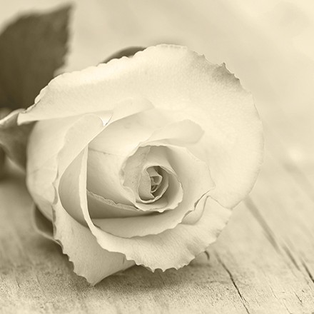 Bestattung Eduard Jäger & Söhne KG, Tulpenweg 18 in Knittelfeld