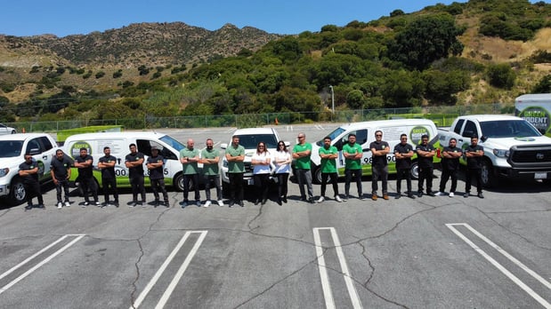 Images Green Rodent Restoration