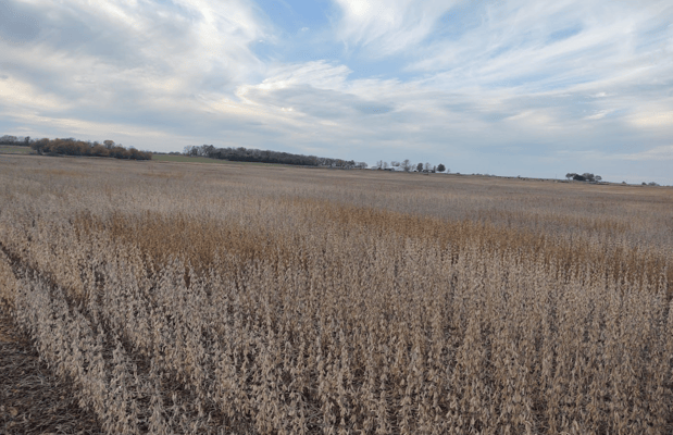 Images Southwest Seed Research LLC