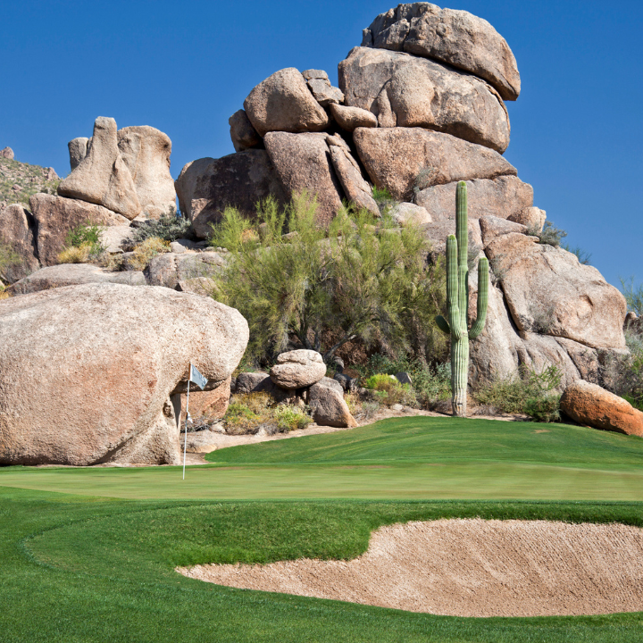 Images Pam Torgrimson | She Sells Scottsdale