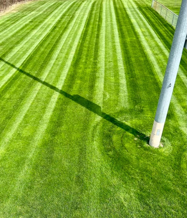 Images Leo's Landscaping & Tree Service