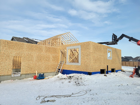 Images The Blue Spruce Builder