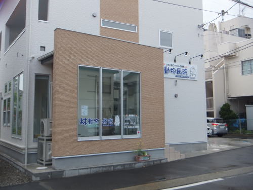 Images 林動物病院