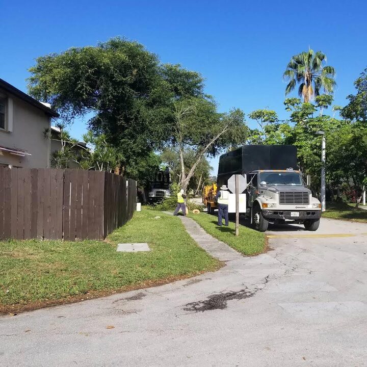 Images Acosta Tree Service