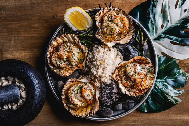 Images Mijo Modern Mexican Restaurant