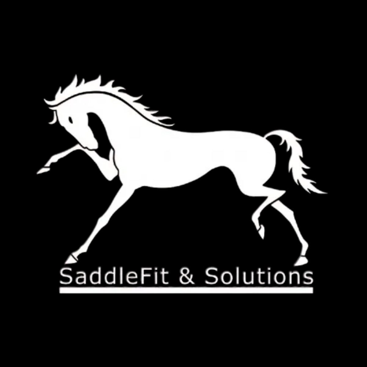 SaddleFit and Solutions