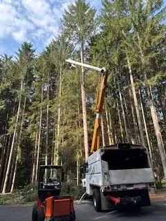 Aubertin Tree Service Image