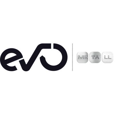 Logo Evo Metall GmbH