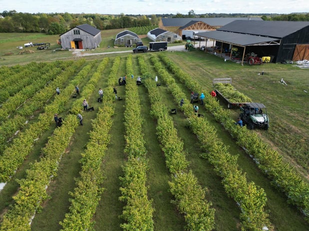 Images Wholesale Hemp Farms