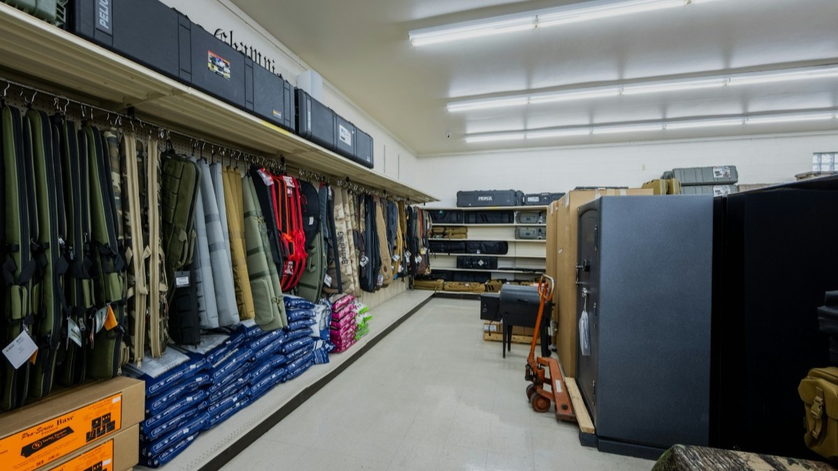 Ross Coin & Gun Image