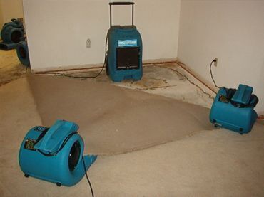 Images East Coast Carpet Care, Inc