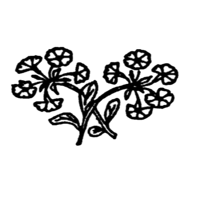 Bischoffs Gartenbau und Gartenpflegedienst  