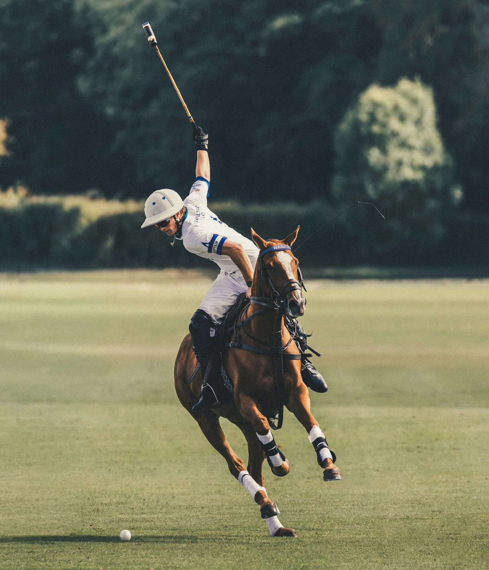 Images Josh Brown Media