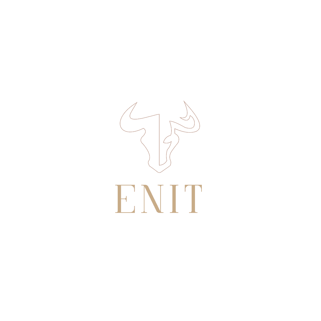 Enit AG Logo