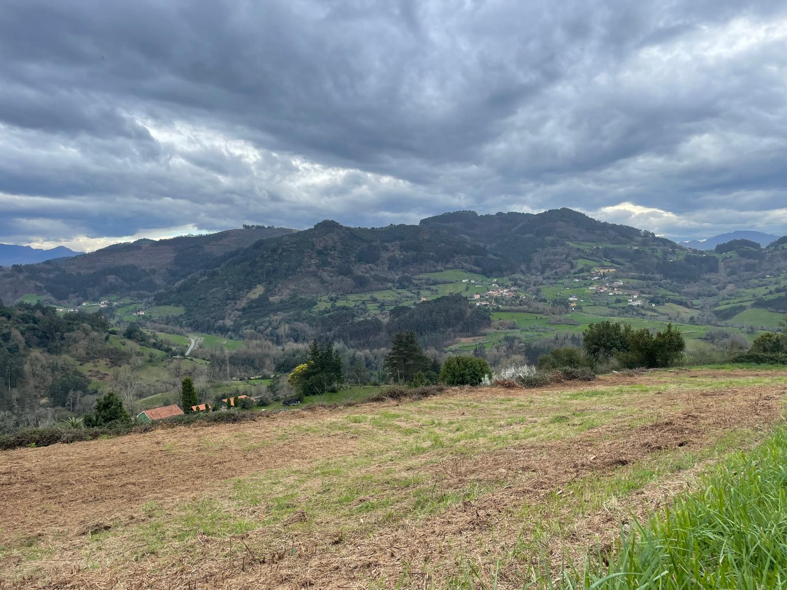 Images Elorza Inmobiliaria