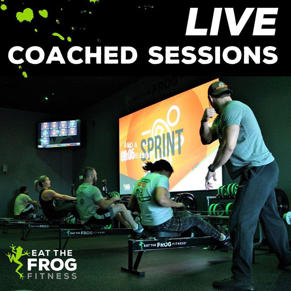 Eat the Frog Fitness - Johns Creek Photo