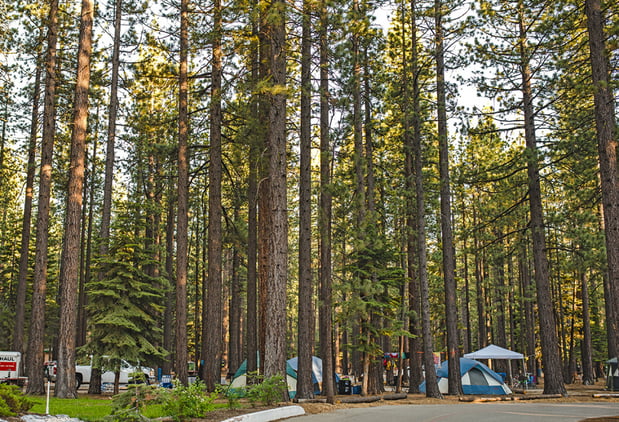 Images Tahoe Valley Campground