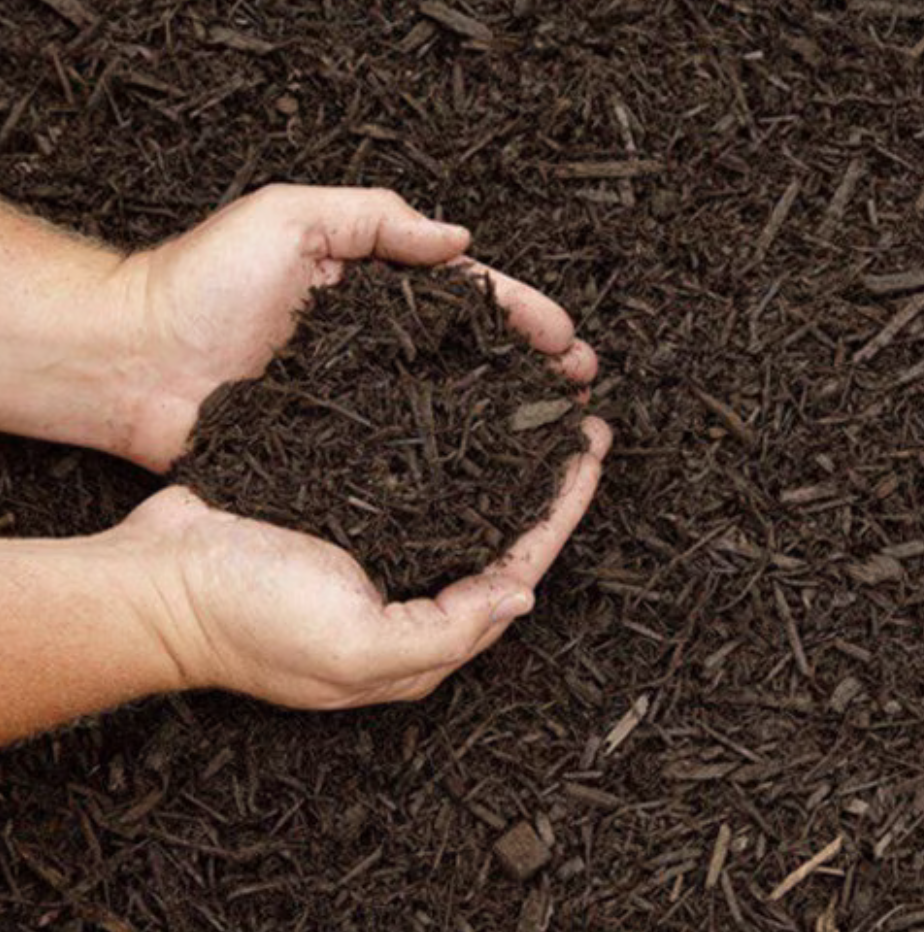 Probase Soil Conditioner Aged Pine Bark Fines Bulk (per cu. yd.).
Dark brown color enhances the aesthetic appeal of your landscape.
Large container size provides ample supply for your project.
Probase Soil Conditioner improves soil quality for healthier plants. The Probase Soil Conditioner is a game-changer for all your landscaping needs. Crafted with care by SiteOne, this premium product is designed to enhance the health and vitality of your plants. Made from aged pine bark fines, it boasts a rich, dark brown color that adds a touch of elegance to any garden. With its bulk packaging, you'll have an ample supply to cover a generous area. Whether you're looking to improve soil structure, retain moisture, or suppress weeds, this Probase Soil Conditioner is the perfect solution. Give your plants the nourishment they deserve and watch them thrive with this exceptional product.