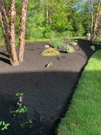 Images Earthday Landscaping, Inc