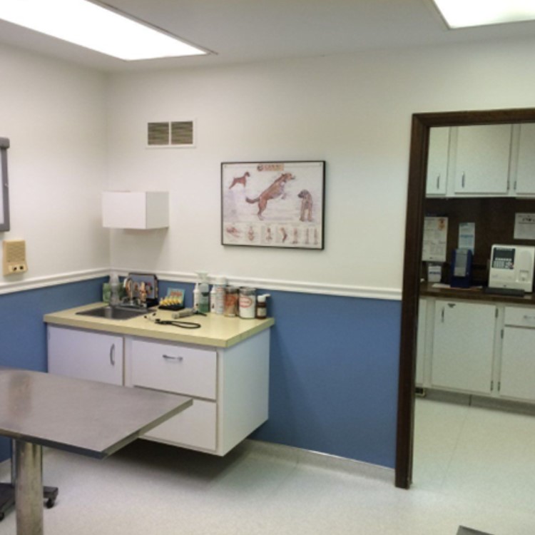 Images Great Southern Animal Hospital
