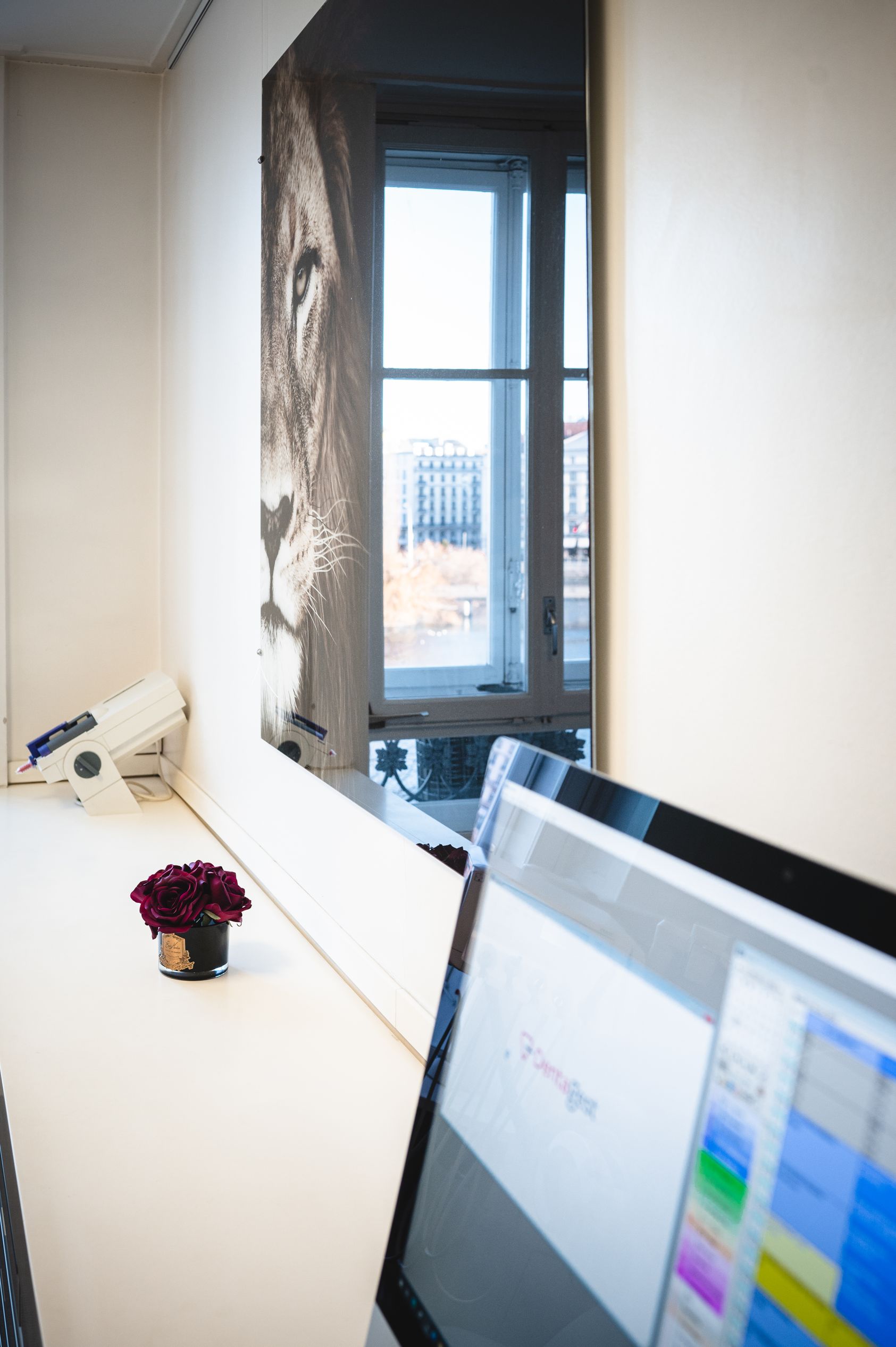 Bilder Rhône Dental Clinic