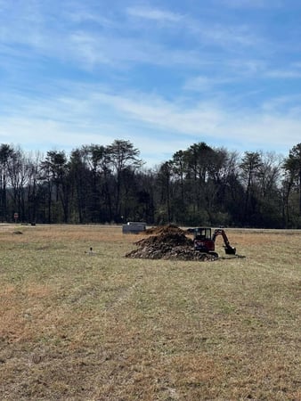 Images Whitzell Excavation